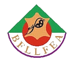 BFLLFEA